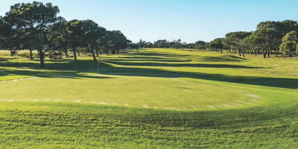 TSF Travel Golfing Eastern Cape Port Elizabeth Golf Course 01