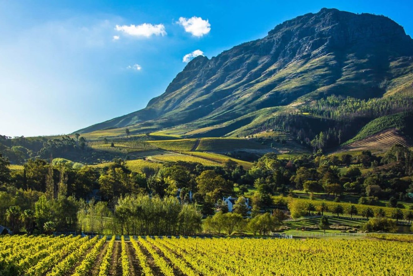 TSF Travel Regions Cape Winelands South Africa 01